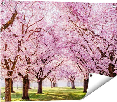 Gards Tuinposter Roze Bloesembomen Park - Bloemen - 80x60 cm - Tuindoek - Tuindecoratie - Wanddecoratie buiten - Tuinschilderij