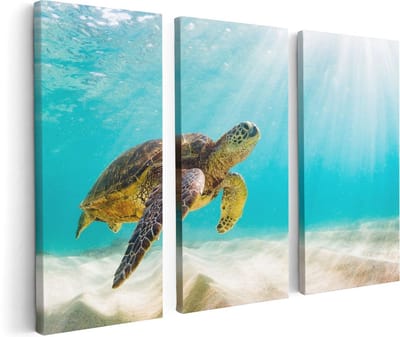 Artaza Canvas Schilderij Drieluik Schildpad Zwemt in de Helder Blauwe Zee - 120x80 - Foto Op Canvas - Canvas Print