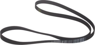 WHIRLPOOL - SNAAR POLY-V 1204 H8 ELASTISCH - 481235818167