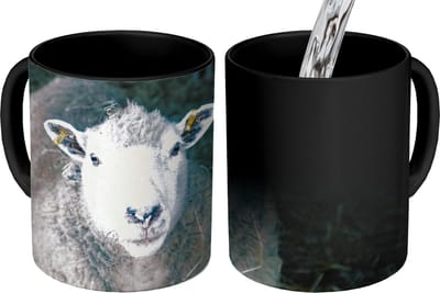 Magische Mok - Foto op Warmte Mokken - Koffiemok - Schaap - Dieren - Vee - Magic Mok - Beker - 350 ML - Theemok