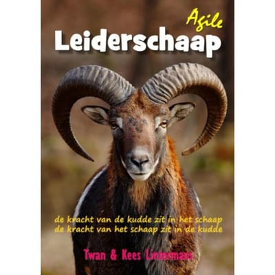 Agile Leiderschaap - Kees en Twan Lintermans