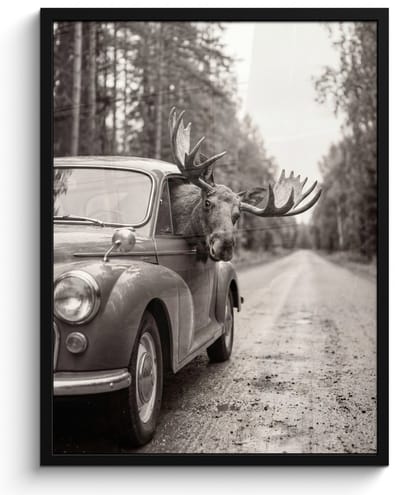Poster in lijst - Fotolijst 60x80 cm - Posters - Eland - Auto - Gewei - Zwart - Wit - Posterlijst zwart - Decoratie - Wanddecoratie woonkamer - Muurdecoratie slaapkamer
