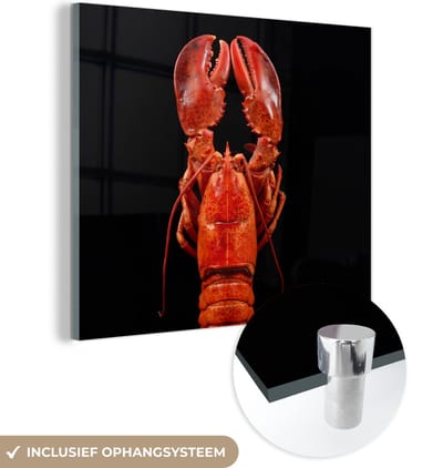 MuchoWow® Glasschilderij 50x50 cm - Schilderij acrylglas - Kreeft - Rood - Portret - Foto op glas - Schilderijen