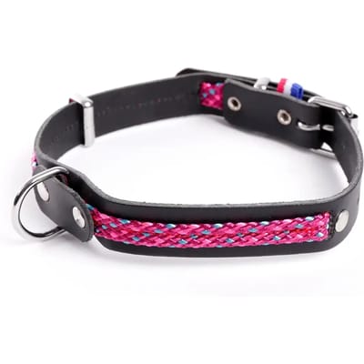Leren halsband Martin Sellier Colorado