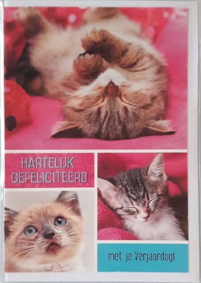Hartelijk gefeliciteerd met je verjaardag! Een lieve kaart met drie schattige poezen! Een leuke kaart om zo te geven of om bij een cadeau te voegen. Een dubbele wenskaart inclusief envelop en in folie verpakt.