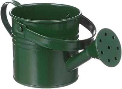 Gieter voor buiten - Tuingieter Verzinkt - Planten Water Geven - Roestbestendig Ontwerp - 8x8x8 cm - Legergroen
