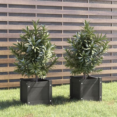 vidaXL - Plantenbakken - 2 - st - 31x31x31 - cm - massief - grenenhout - grijs