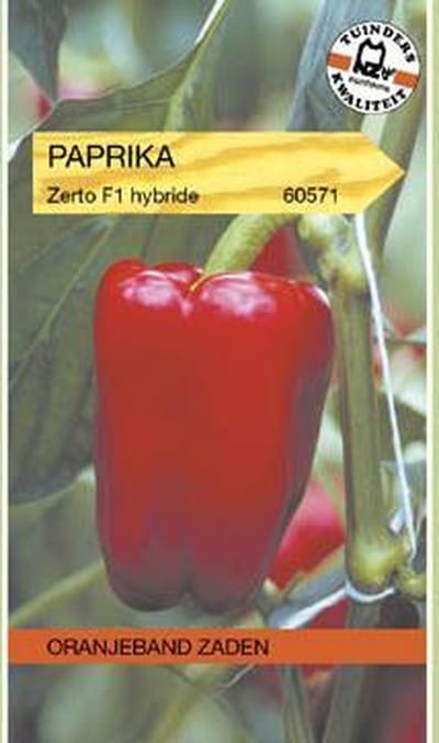 Oranjebandzaden -  Paprika Solero F1 (vh Reina)