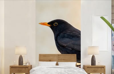 Behang - Fotobehang Merel - Vogel - Takken - Bes - Rood - Breedte 120 cm x hoogte 240 cm