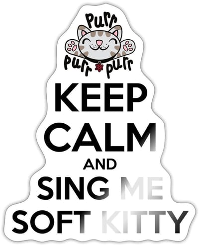 The Big Bang Theory Sing Soft Kitty Sticker Maat S (max. 10 x 10cm)