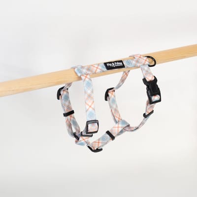 Pip & Palms - Hondentuig Pawsome Plaid - Blauw - Maat XS - Verstelbaar - Hondentuigje - Y Tuig Hond - voor Kleine honden