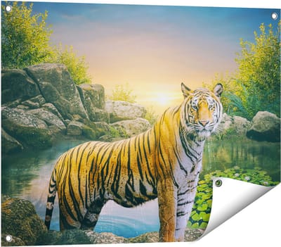 Gards Tuinposter Luipaard in een Vijver bij Zonsondergang - 80x60 cm - Tuindoek - Tuindecoratie - Wanddecoratie buiten - Tuinschilderij