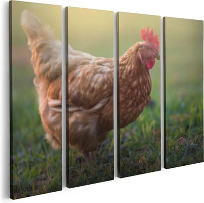 Artaza Canvas Schilderij Vierluik Kip in het Gras - 80x60 - Foto Op Canvas - Canvas Print