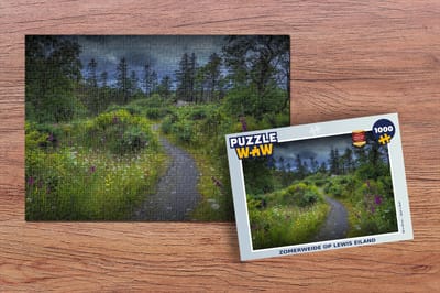 Puzzel Zomerweide op Lewis eiland - Legpuzzel - Puzzel 1000 stukjes volwassenen