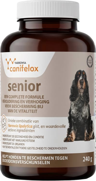 Canifelox Senior 240g – Supplement voor Oudere Honden – Ondersteunt Gewrichten, Immuunsysteem & Vitaliteit – Met Unieke Yarrowia Lipolytica Gist