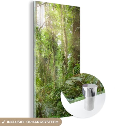 MuchoWow® Glasschilderij 20x40 cm - Schilderij acrylglas - Licht in het woud - Foto op glas - Schilderijen