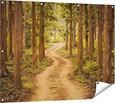 Gards Tuinposter Pad in het Bos met Bomen - 120x90 cm - Tuindoek - Tuindecoratie - Wanddecoratie buiten - Tuinschilderij