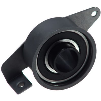 Tandriempoelie SKF VKM 14103