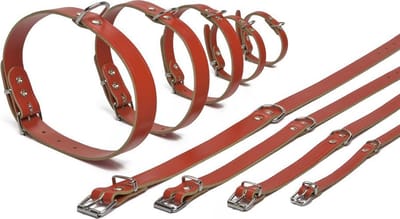 Ipts halsband - Rood 32x10