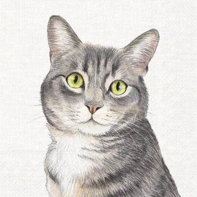 Lunch servetten - Farm cat cream
