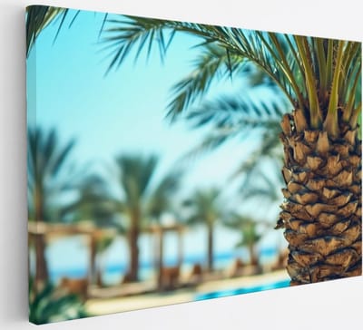 Saammp Canvas Schilderij - Natuur - Palmboom - landschap - 30x20 - Foto op canvas - Wanddecoratie - Muurdecoratie Woonkamer - Slaapkamer decoratie - Canvas Print