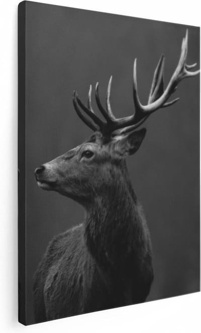 Artaza Canvas Schilderij Hertenkop Met Gewei - 30x40 cm - Klein - Muurdecoratie Dierenkop - Wanddecoratie Dieren - Kamer Accessoires