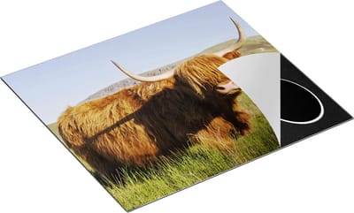 Chefcare Inductie Beschermer Schotse Hooglander Koe - Kleur - 60x50 cm - Afdekplaat Inductie - Kookplaat Beschermer - Inductie Mat