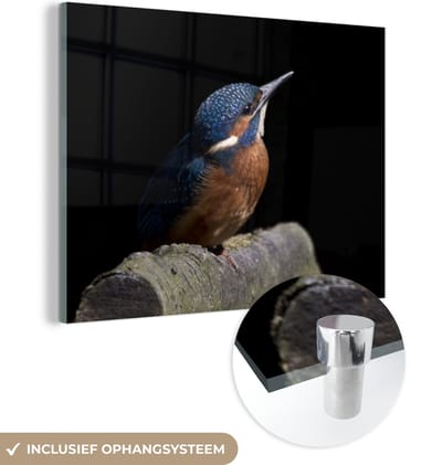 MuchoWow® Glasschilderij 160x120 cm - Schilderij acrylglas - IJsvogel - Tak - Veren - Zwart - Foto op glas - Schilderijen