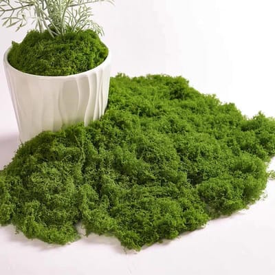 Dailygoods- Kunstmos 50 g - Decoratie Mos - Kunstgras - Synthetische Vezel - Herbruikbaar - Zacht en Realistisch - Decoratiemateriaal