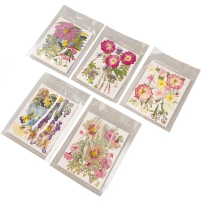 5 Sachets Fleurs Pressées Styles Assortis Détails Riches Vibrants Fleurs Séchées Colorées Polyvalentes pour Moule DIY Marque-page set 2 white