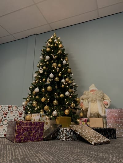 FESTIVE GIFTS Inpakpapier, Cadeaupapier, 200 x 70cm, 3 rollen, Kerst, Luxe, Luxe Cadeauverpakking, (ontwerp/kleur)