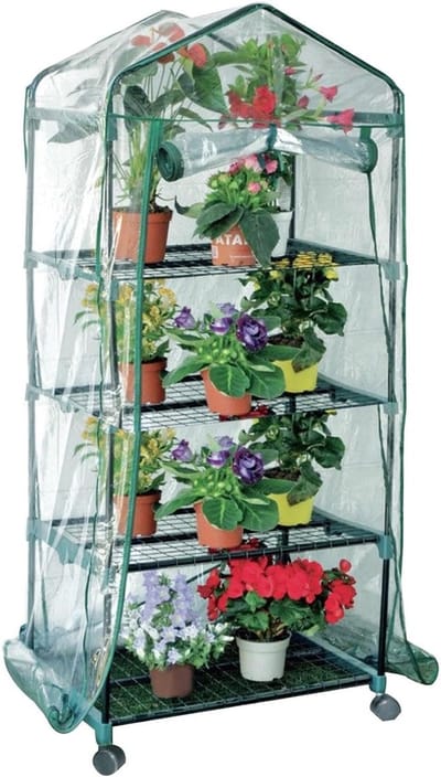 Mobiele Plantenkas - Kleine Kas Groeikas - Planten Beschermen - Met Vergrendelbare Wielen - 72 x 50 x 9 cm