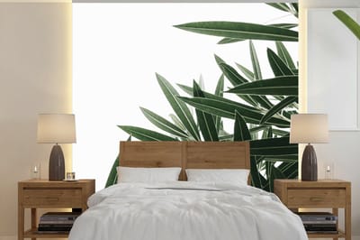 Behang - Fotobehang Natuur - Planten - Bladeren - Breedte 280 cm x hoogte 280 cm