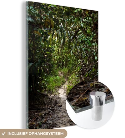 ® Glasschilderij 120x160 cm - Schilderij acrylglas - Het knalgroene oerwoud in het prachtige Nationaal park Siberut - Foto op glas - Muurdecoratie woonkamer - Wanddecoratie slaapkamer - Schilderijen