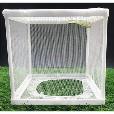 Vlinder Bidsprinkhaan Kweeknet Kooi Aquarium Visbroed Water Isolatie Net Kooi Insecten Net Kooi Vlinder Net Kooi gray
