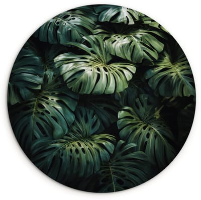 WallCircle® Wandcirkel 120x120 cm - Muurcirkel Plant - Monstera - Lichtinval - Muurdecoratie woonkamer - Wanddecoratie slaapkamer - Kamer decoratie accessoires - Ronde schilderijen XXL