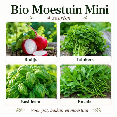 Bio Moestuin Mini – 4 Soorten Biologische Zaden – Tuinkers, Radijs, Rucola en Basilicum – Voor Beginners