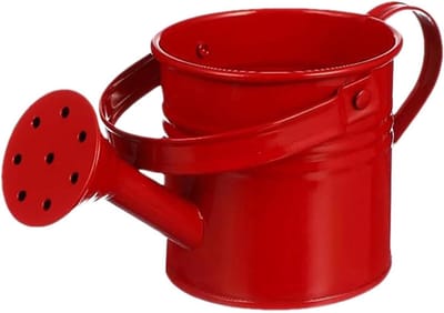 Decoratieve Gieter - Planten water geven - Tuinieren Buiten - Roestbestendig gegalvaniseerd - 8x8x8 cm - Rood