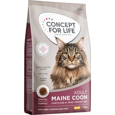 Concept for Life Maine Coon droogvoer Adult - Nieuw Receptuur: 10 kg