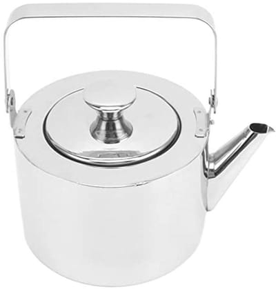 Dailygoods- Theeketel met zeef - Roestvrij Staal - Fluitende Theepot - Ergonomisch Handvat - Geschikt voor Alle Kachels - 1L Inhoud