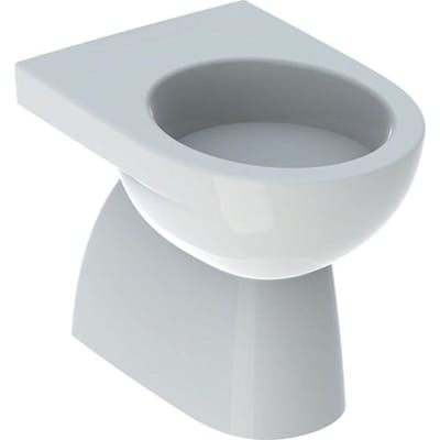 Geberit Renova pedestal WC washdown, vertical outlet, partially closed form 500.811.01.2
