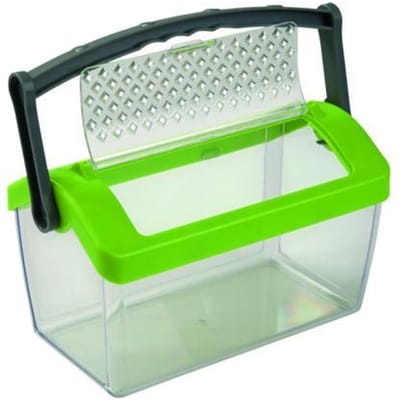 HABA Terra Kids - Insectendoos 19 Cm Transparant/groen