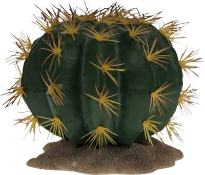 Terra Della - Reptielen - Echinocactus 1 16,5x15,5x14cm Groen - 162495
