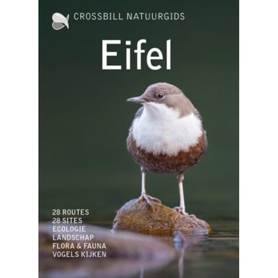 Crossbill Guide Eifel - Crossbill Guides - Olaf Op den Kamp