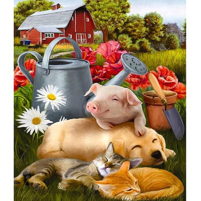 5D DIY Diamond Painting Varken Hond en Kat Borduren Kruissteek Strass Mozaïek Home Decor 20X30CM