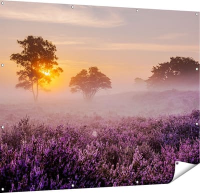 Gards Tuinposter Weide in de Veluwe bij Zonsondergang - 150x120 cm - Tuindoek - Tuindecoratie - Wanddecoratie buiten - Tuinschilderij