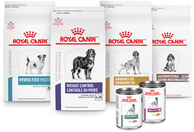 ROYAL CANIN Satiety Small Dog - dieetvoeding voor kleine honden - 0,5 kg