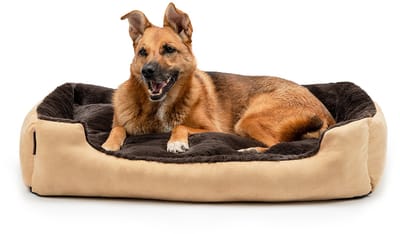 lionto zacht Hondenbed, omkeerbaar kussen & antislip bodem 90x70 cm beige/bruin