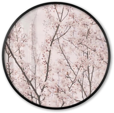 Poster in lijst Rond - Fotolijst 60x60 cm - Posters - Bloesem - Bomen - Takken - Natuur - Roze - Ronde posterlijst zwart - Decoratie - Wanddecoratie woonkamer - Muurdecoratie slaapkamer