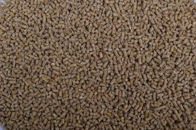 Wielink Kuikenkorrel 2MM 20KG